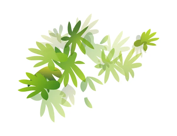 Yeşil çalılar — Stok Vektör
