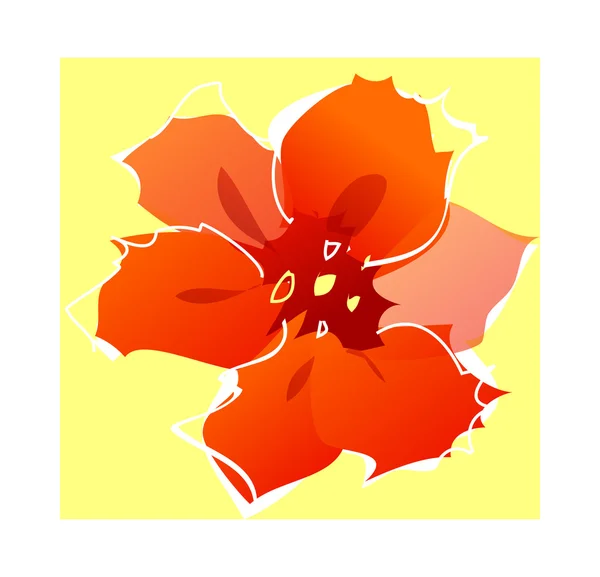 Červená květina close-up — Stockový vektor