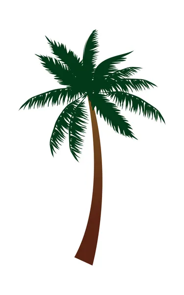 Árbol de coco — Vector de stock