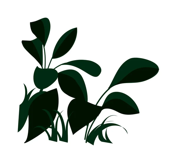 Dark green plants — Stock Vector