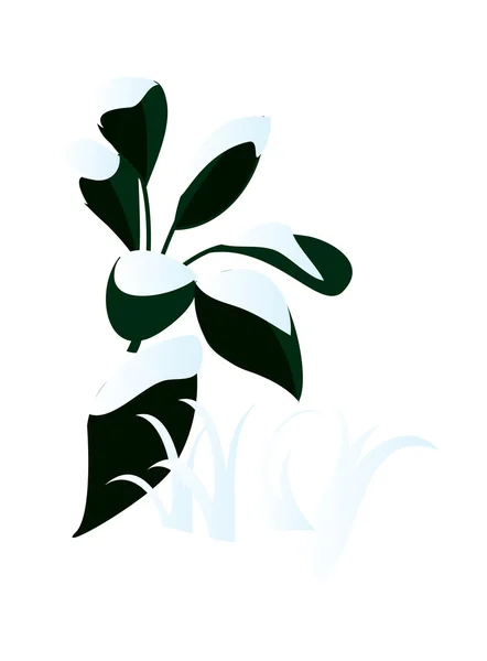 冬の植物 — ストックベクタ