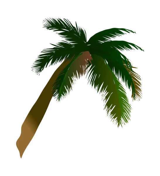 Árbol de coco — Vector de stock