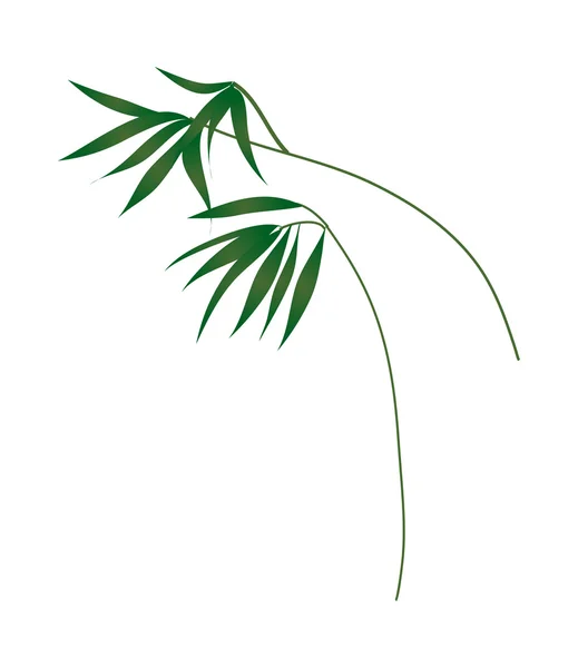 Hojas tropicales — Vector de stock