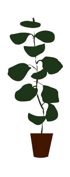 Planta de ghiveci — Vector de stoc