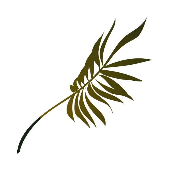 Palmiye yaprağı — Stok Vektör