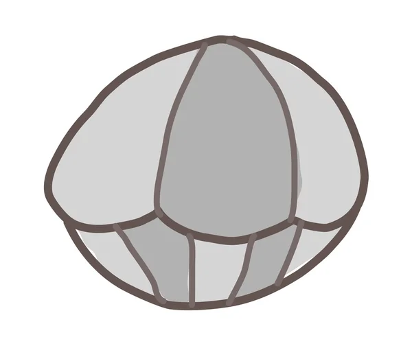 Серый моллюск — стоковый вектор
