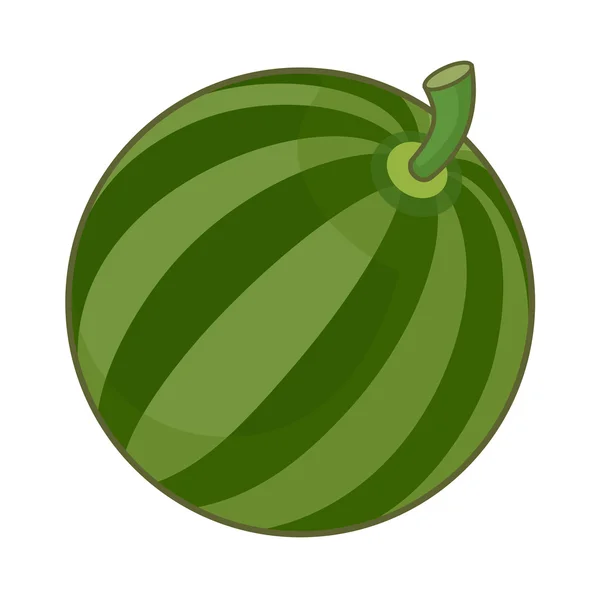 Watermelon — Stock Vector