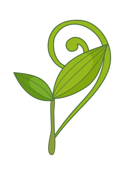 Planta verde — Archivo Imágenes Vectoriales