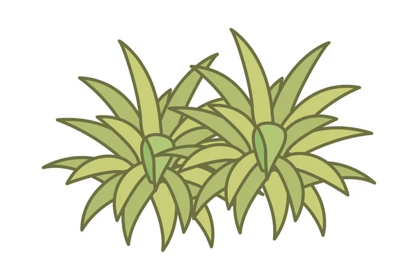Зелені рослини — стоковий вектор