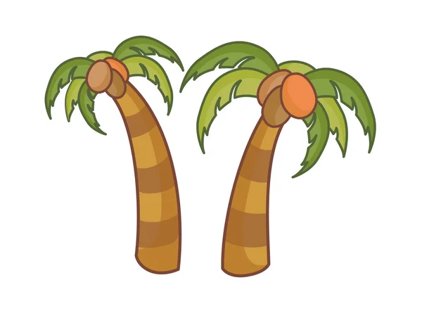 Coconut tree — Stock Vector