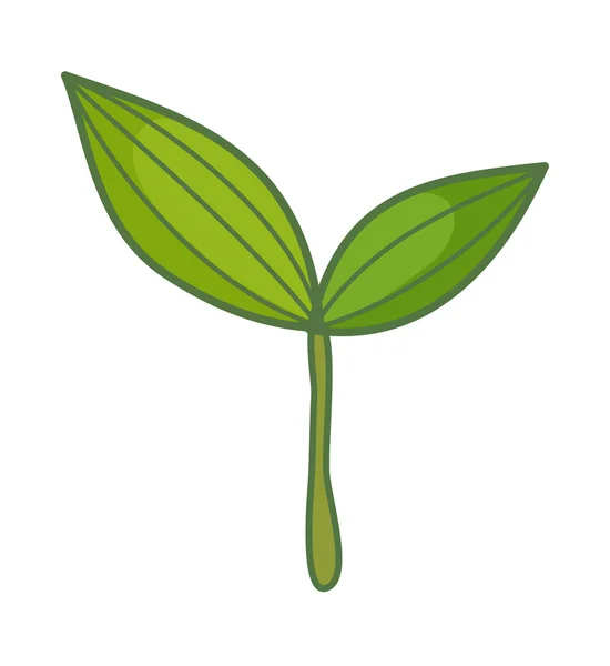 绿色的植物 — 图库矢量图片