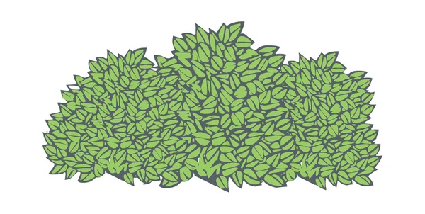 Зеленими чагарниками — стоковий вектор