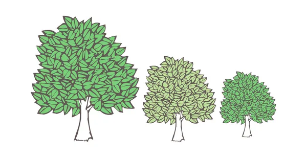 Yeşil ağaçlar — Stok Vektör