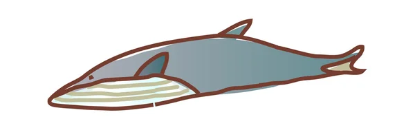 Baleine marine — Image vectorielle