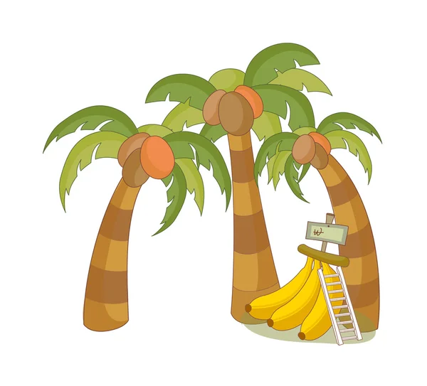 Coconut palms and bananas — Stock Vector