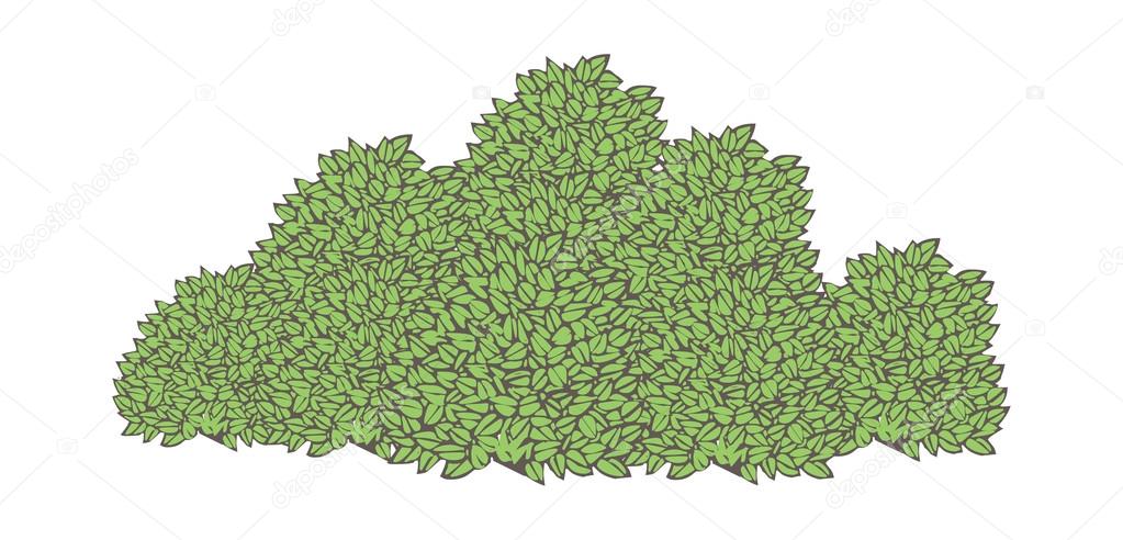 Green bushes