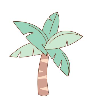 tropik palmiye ağacı