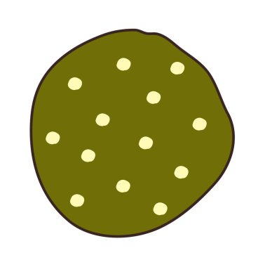 Daire vektör çizim