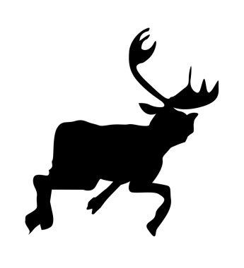 Bir geyiğin silueti..