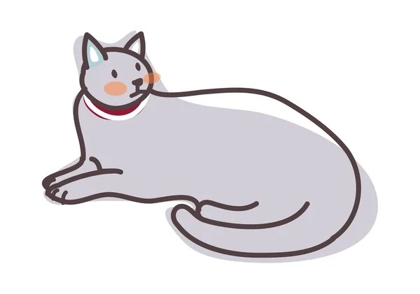 Grå katt — Stock vektor