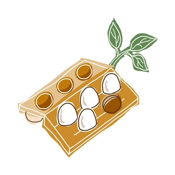 Huevos y plantas — Vector de stock