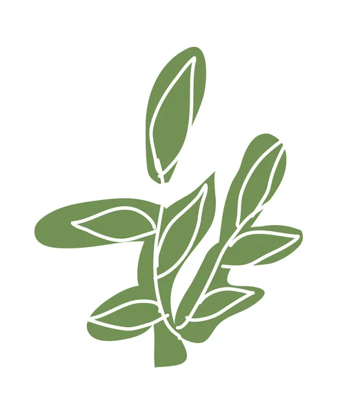 Groene plant — Stockvector