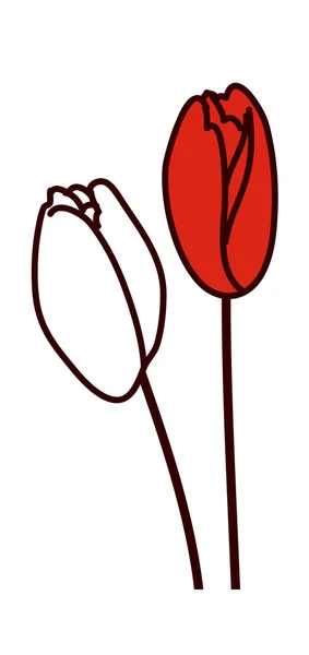 Rote Tulpen — Stockvektor