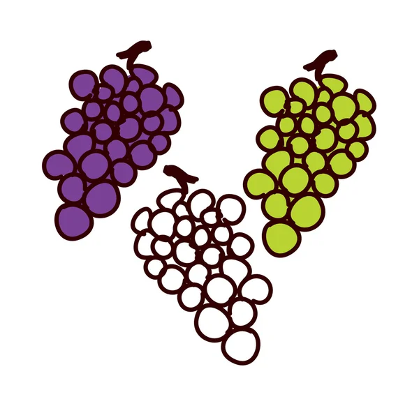 Grapes — Stock Vector