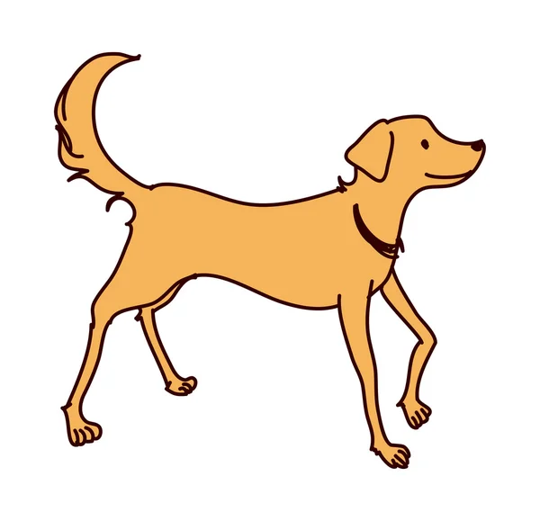Lindo perro — Archivo Imágenes Vectoriales