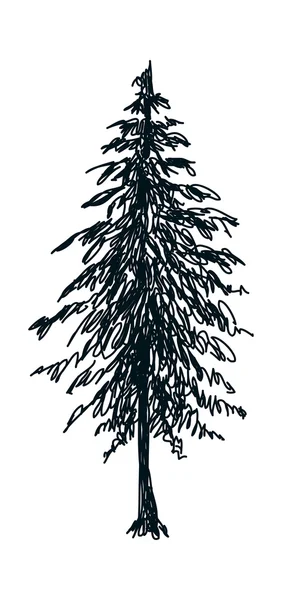 Дерево Векторні ілюстрації — стоковий вектор