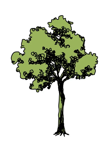 Ilustração do vetor da árvore — Vetor de Stock