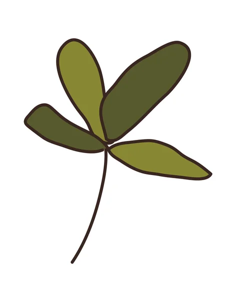 Вектор листя — стоковий вектор