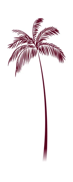 Vektör palmiye ağacı — Stok Vektör