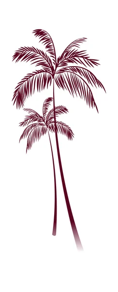 Palmera vector — Vector de stock