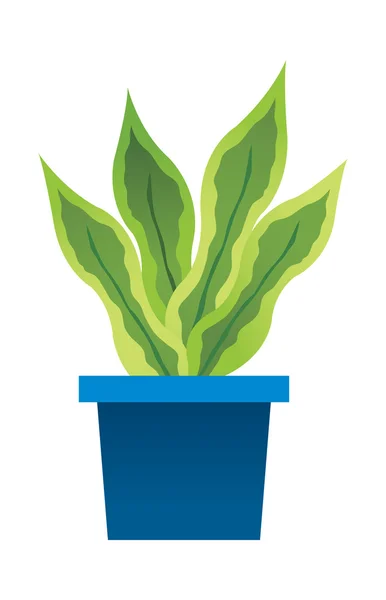 Flower pot with green leafs. — Stock Vector