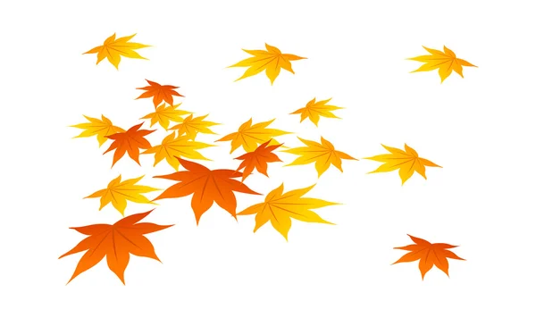 Autumn leaves. — Stock Vector