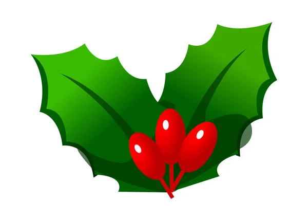 Christmas mistletoe. — Stock Vector