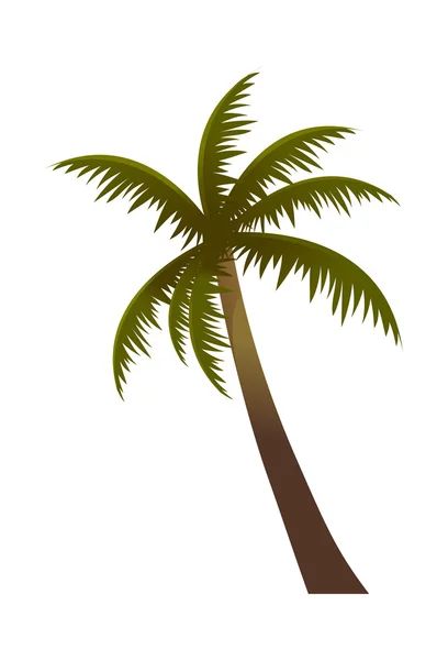 Palmboom met groene bladeren — Stockvector
