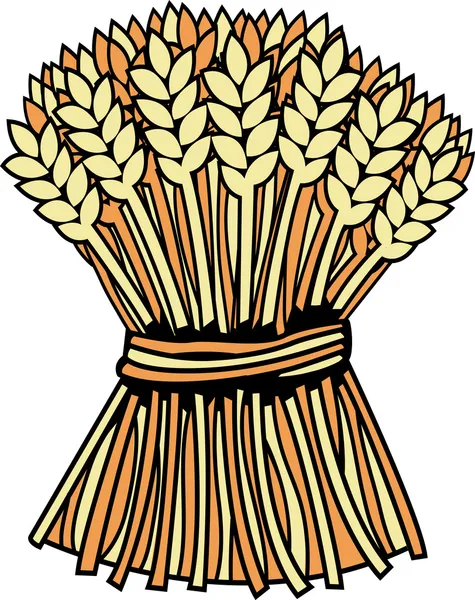 Sheaf of wheat — Stock Vector