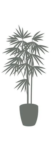 植物のイラスト — ストックベクタ