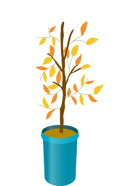 Plant in pot — Stock Vector