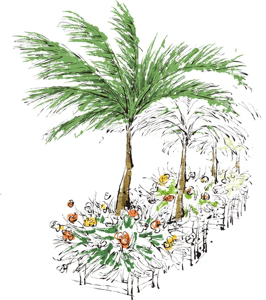 Palmeras tropicales — Vector de stock