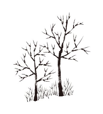 Siyah ve beyaz ağaçlar