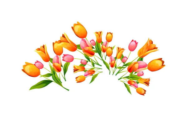 Tulips backgound — Stock Vector