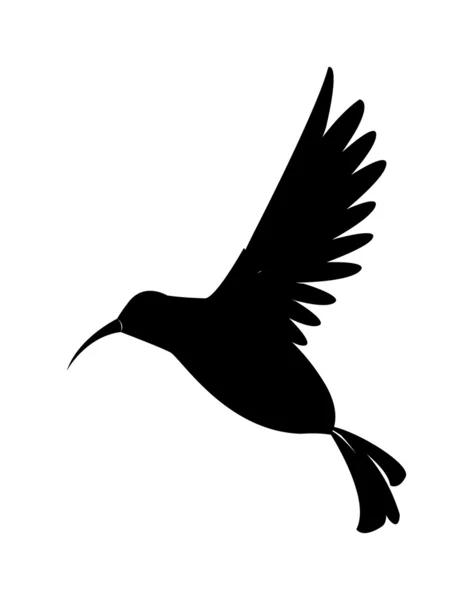 Oiseau noir — Image vectorielle