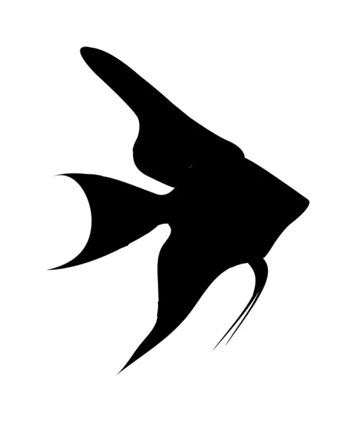 Pescado negro — Vector de stock