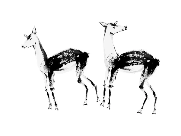 Two deer — Stock Vector