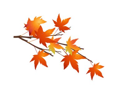 Sonbahar Yaprakları