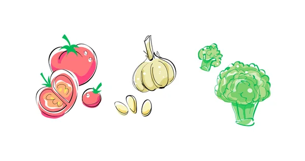Овощи — стоковый вектор