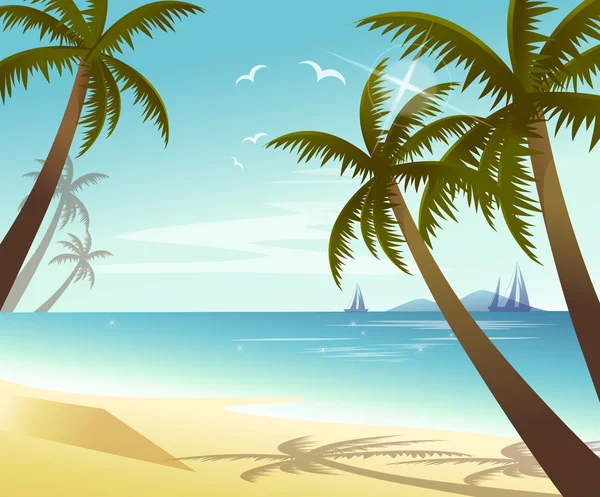 Tropical beach — Stock Vector